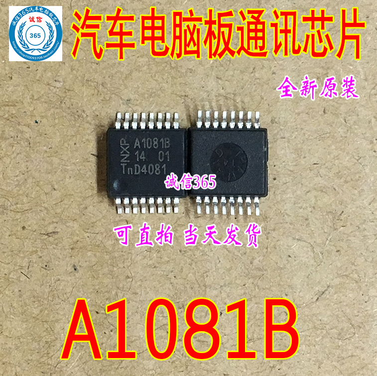 TJA1081 TJA1081B A1081BS SOP-16汽车电脑板通讯芯片IC