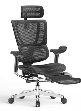 Ergonor保友优旗舰 2代人体工学椅电脑椅办公椅护腰椅学习椅上班