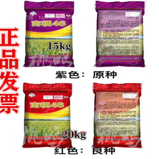 水稻种子南粳46稻谷种籽优质高产常规圆粒粳稻珍珠香米种子品种