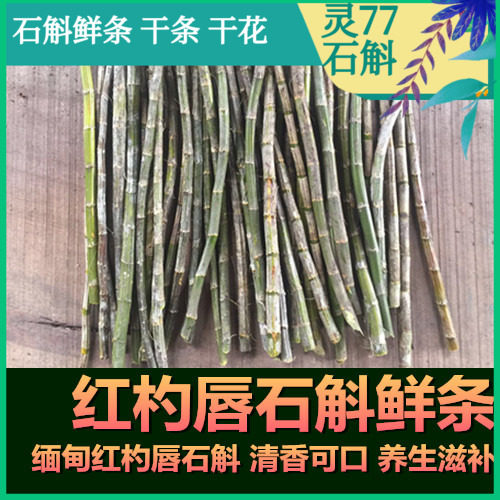 红杓唇石斛鲜条 石斛鲜条 500克一斤包邮