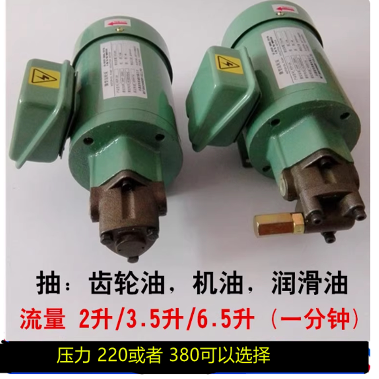 小流量抽油泵 微型齿轮油泵润滑冷却循环泵小型齿轮泵机油泵380V