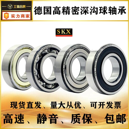 德国SKX进口轴承6200 6201 6202 6203 6204 6205 6206 RS1 ZZ NGF