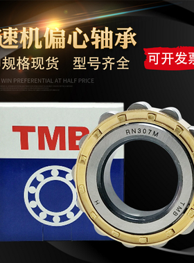 TMB天马减速机偏心轴承RN206 205 307 328 309 312 222 219 204 M