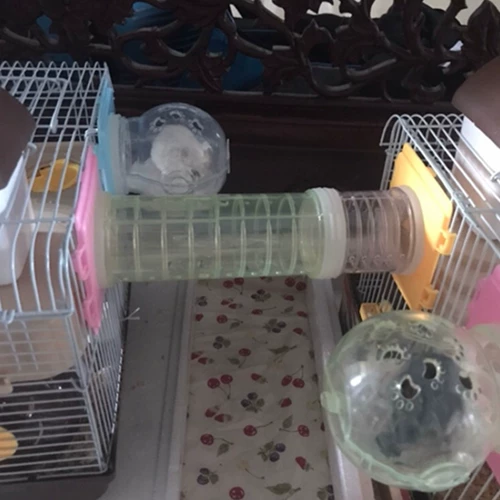 Акриловая клетчатая хомяка игрушки игрушки золотой шелковой клетки клетки внешней карты.