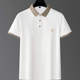 男士 休闲薄款 短袖 男款 夏季 男装 t恤翻领polo衫 高级感2025新款 体恤