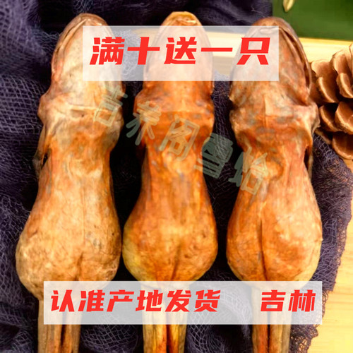 东北整只林蛙干雪蛤干8克满10只