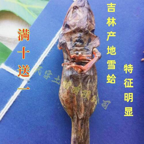乡北席长白山正品林蛙干整只雪蛤干雪蛤油蛤蟆油林蛙油滋补7克小