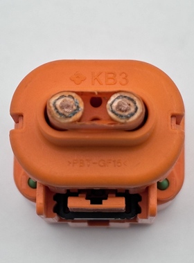 6189-8401 220504a PBT GF15新能源汽车线束插头连接器2P原厂正品