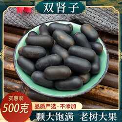中药材无硫西藏双肾子苦石莲子500克包邮风流果阴阳子泡酒料