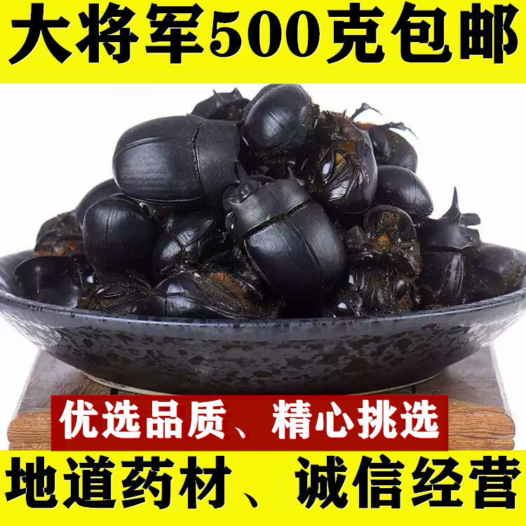 中药材天然大将军 蜣螂虫 屎壳郎 水洗整只大将军500克包邮新货