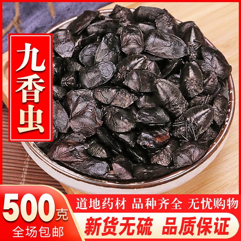 中药材无硫九香虫香虫粉黑兜虫屁巴虫黑瓜蝽屁板虫100克包邮新货