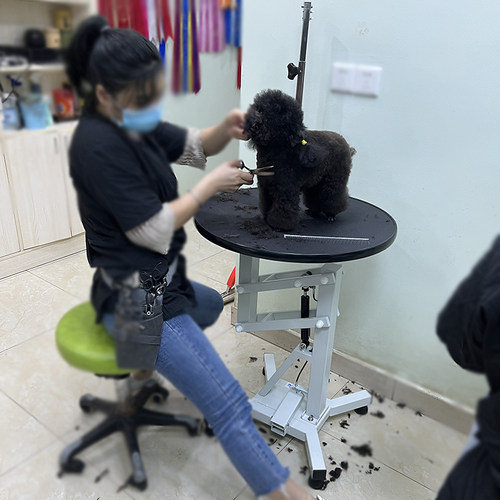 升降旋转美容桌春舟宠物美容