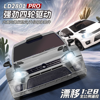 兰达科技PoloPro版专业rc遥控车