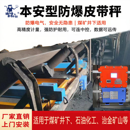 厂家直销高精度防爆电子皮带秤