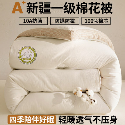 2026A类抗菌防螨100新疆棉花被立体冬被棉被全棉加厚保暖纯棉被芯
