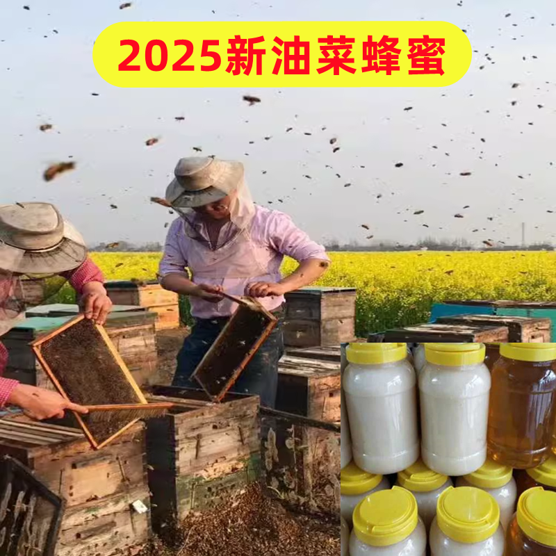 五斤装天然野生油菜蜂蜜结晶蜂蜜2500g原蜜农家自产