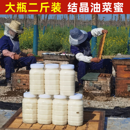 二斤装纯正天然油菜蜂蜜结晶蜂蜜农家自产百花蜜大桶装商用 - 封面