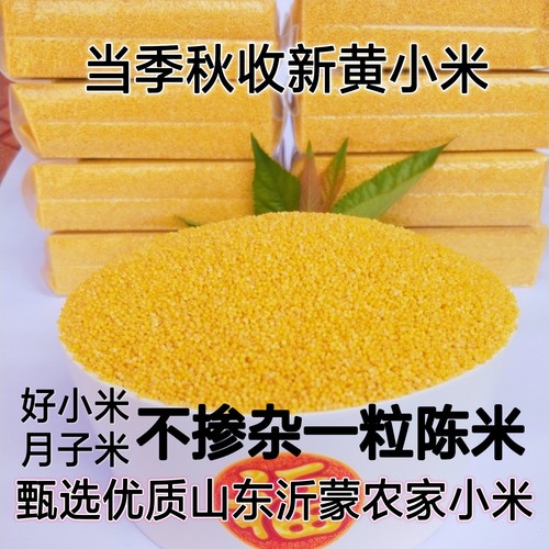 黄小米沂蒙山农家新小米