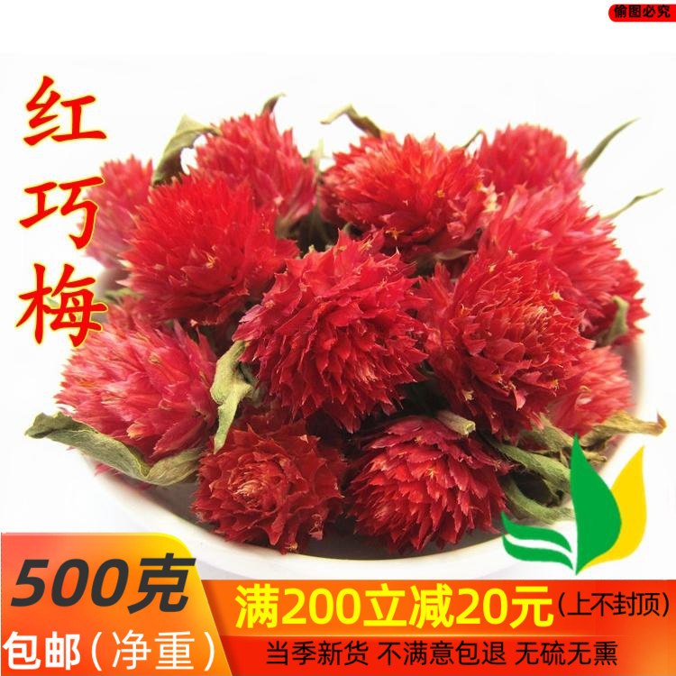 中药材 花草茶 红巧梅 梅花茶