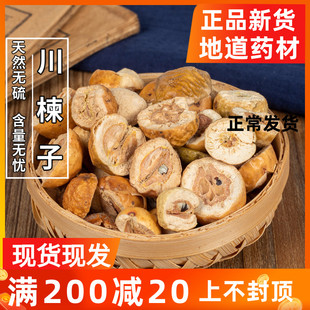 楝实 川 苦楝子 中药材 金铃子野生新货 川楝子 500g