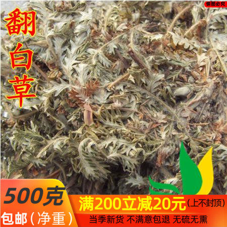 中药材翻白草 500克包邮 - 实物图