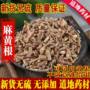 麻黄根中药材店铺500g包邮龙沙根狗骨卑相卑盐草麻黄结力根中草药