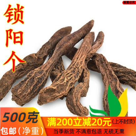 李氏中药材 锁阳个 大漠双雄之 锁阳 金锁阳500克