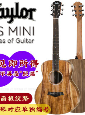 Taylor泰莱单板木吉他