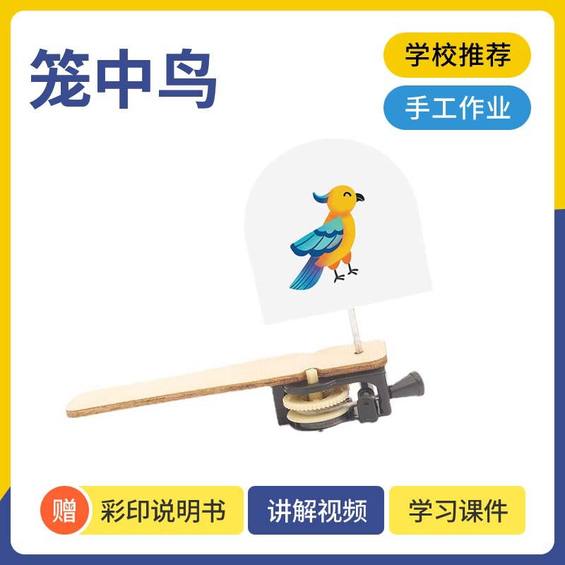 科技小制作DIY笼中鸟幼儿手工自制科学实验发明SETM教育益智模型