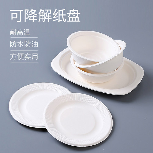 烧烤工具用品天然纸浆纸碗纸碟纸盘鱼盘环保一次性圆形野餐餐具 - 封面