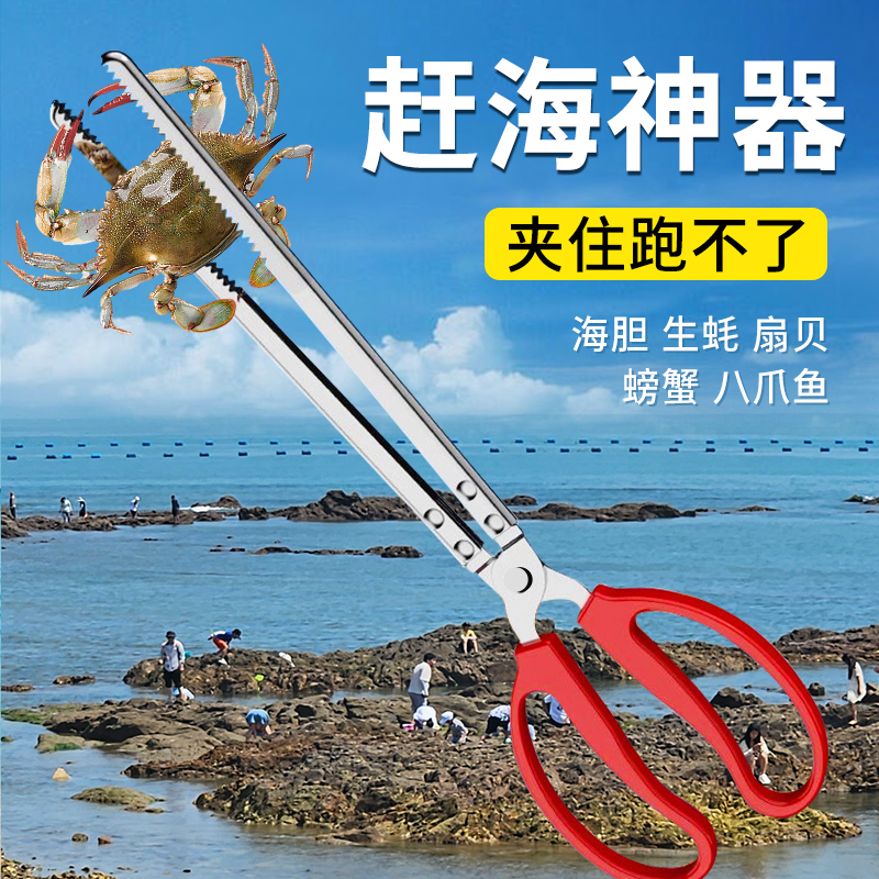 趕海夾子工具不銹鋼抓螃蟹