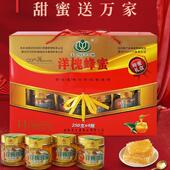 送礼礼物蜂蜜礼盒蜂蜜礼盒装 野生送礼洋槐蜜纯正年货瓶装 两斤