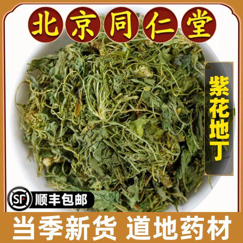 北京同仁堂正品紫花地丁中药材野生头草地丁草地丁苦地丁茶紫地丁