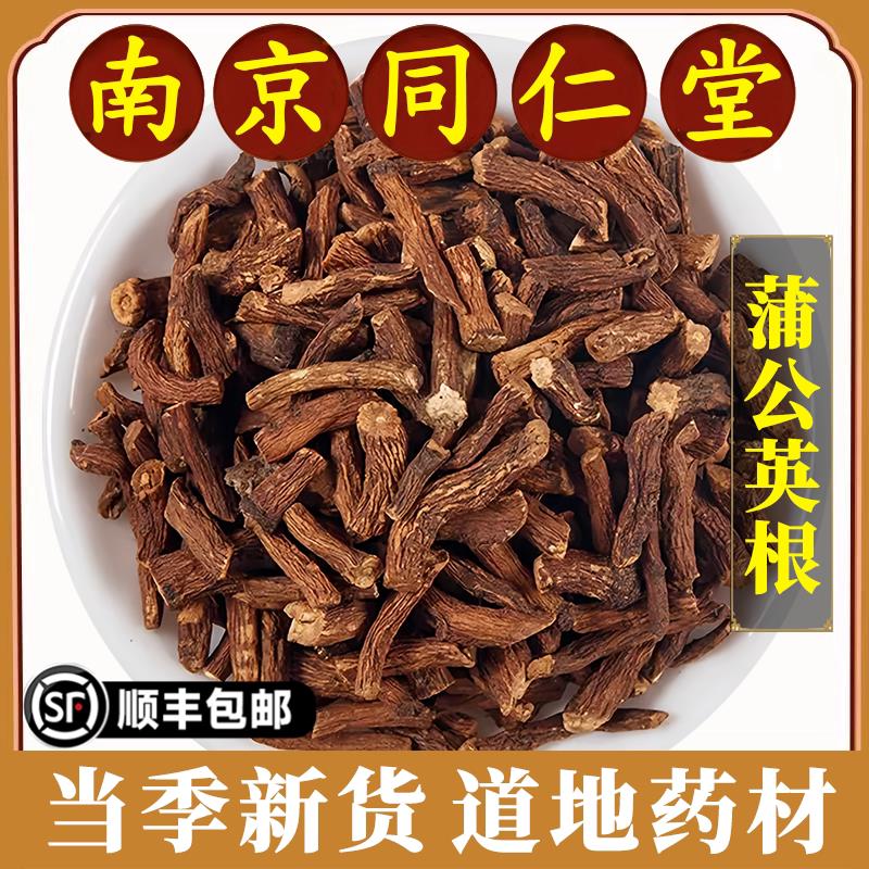 南京同仁堂正品蒲公英根中药材长白山新货浦公英根干泡茶喝原材料