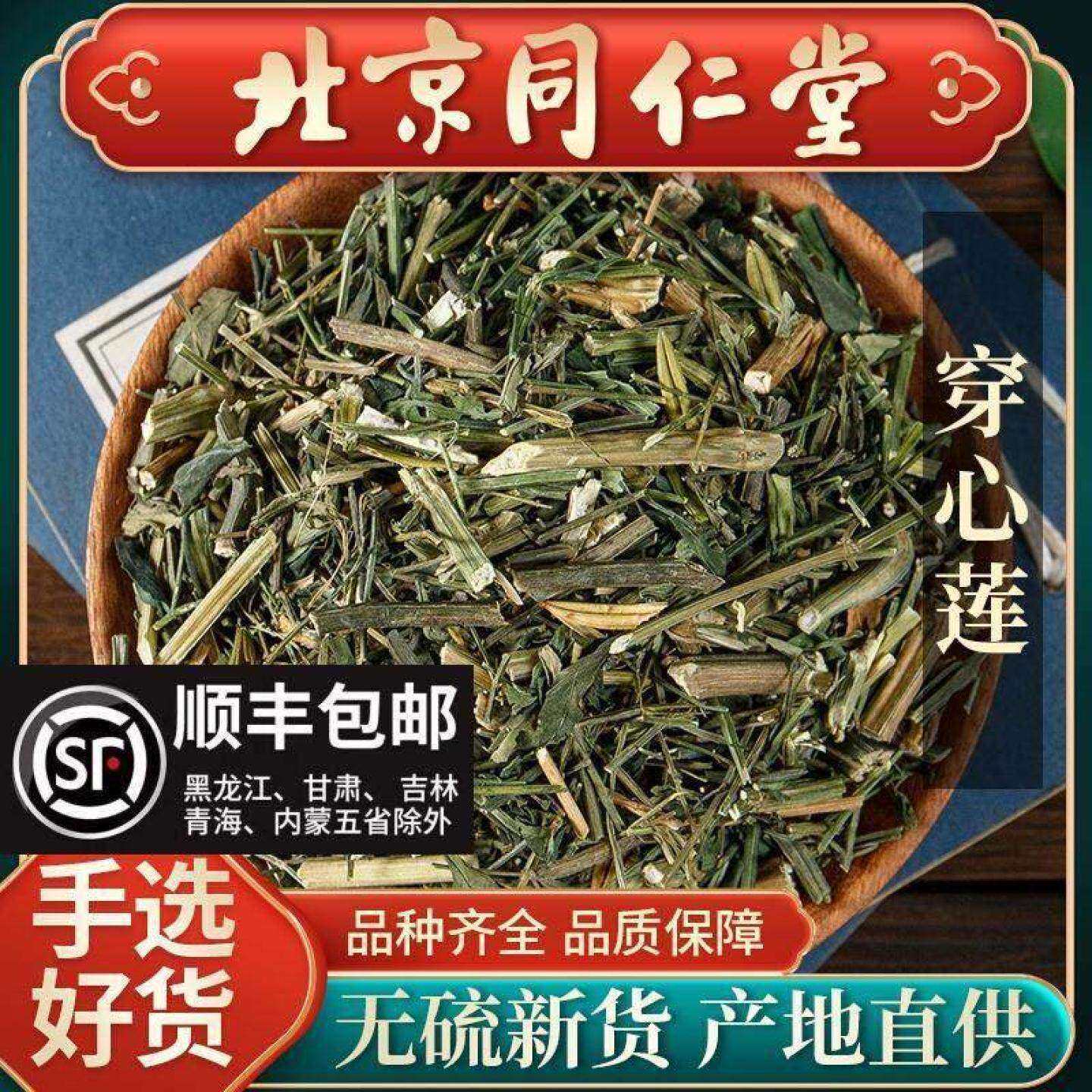 同仁堂野生穿心莲中药材500克穿心莲茶穿心连川心连川心莲穿芯莲