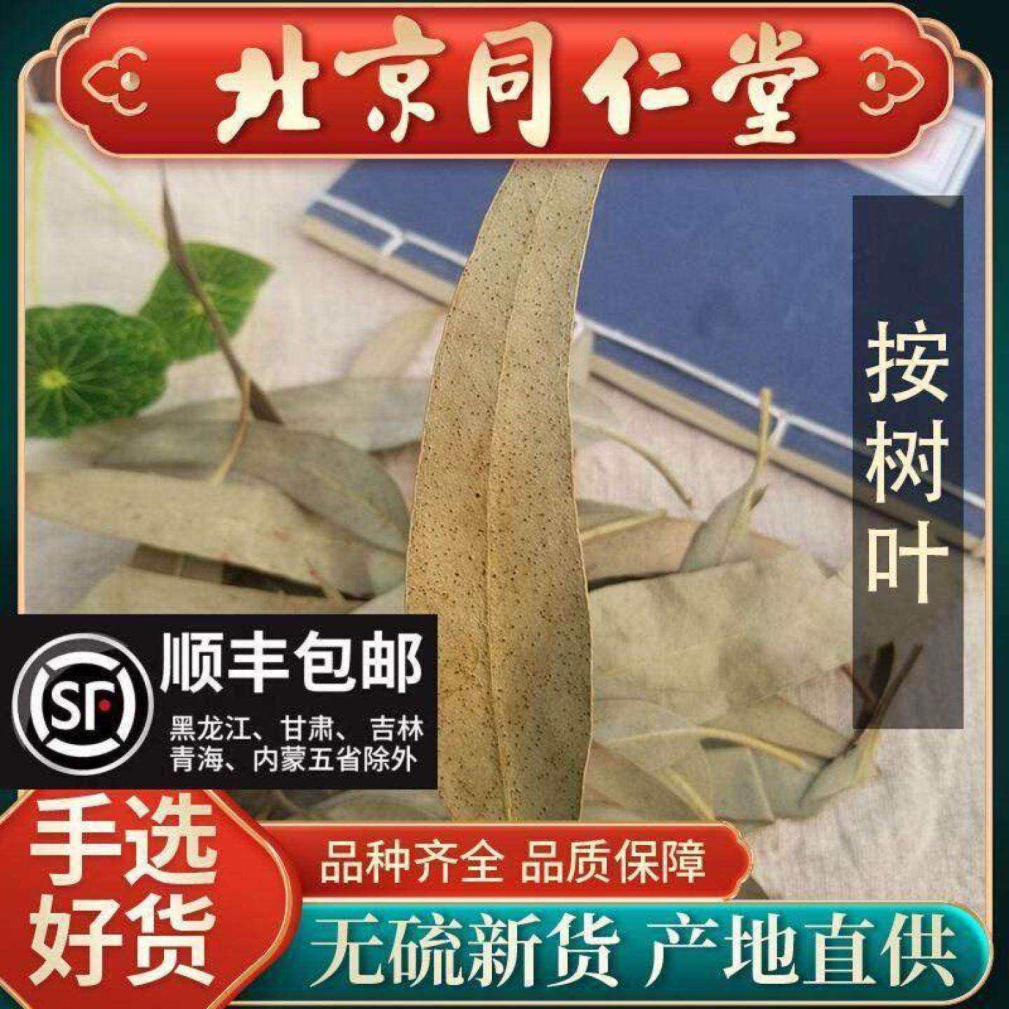同仁堂新货品质桉树叶中药材500g小桉树大叶按树叶子干尤加利树叶