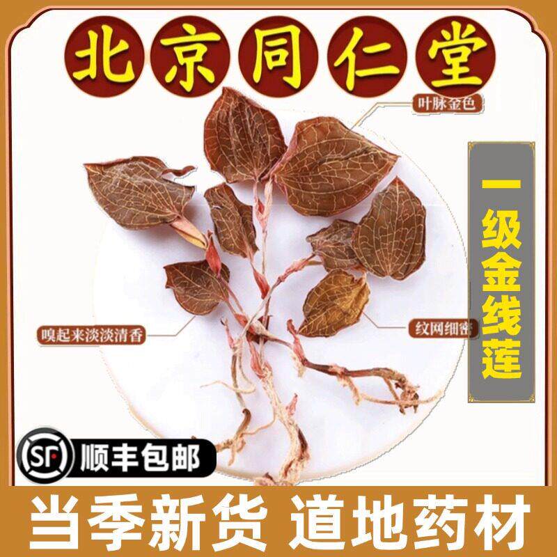 同仁堂正品金线莲中药材红霞金线莲干品林下野生新鲜干货养生茶水