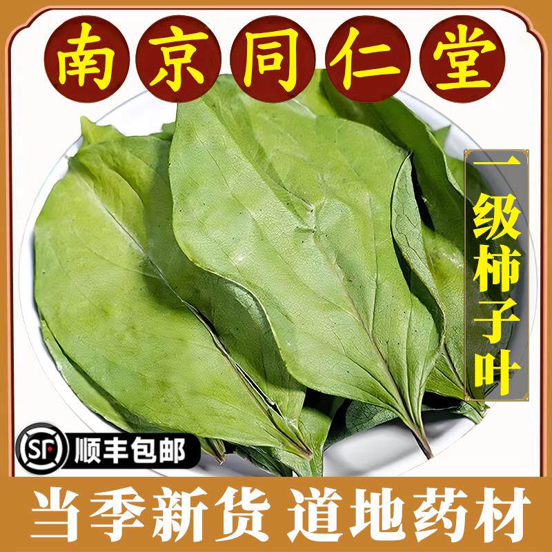 南京同仁堂正品柿子叶中药材柿子树叶干货可打粉霜柿子叶柿子叶茶