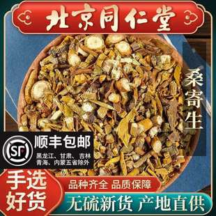 同仁堂正品桑寄生中药材500g野生桑寄生 新货 广西梧州桑寄生茶