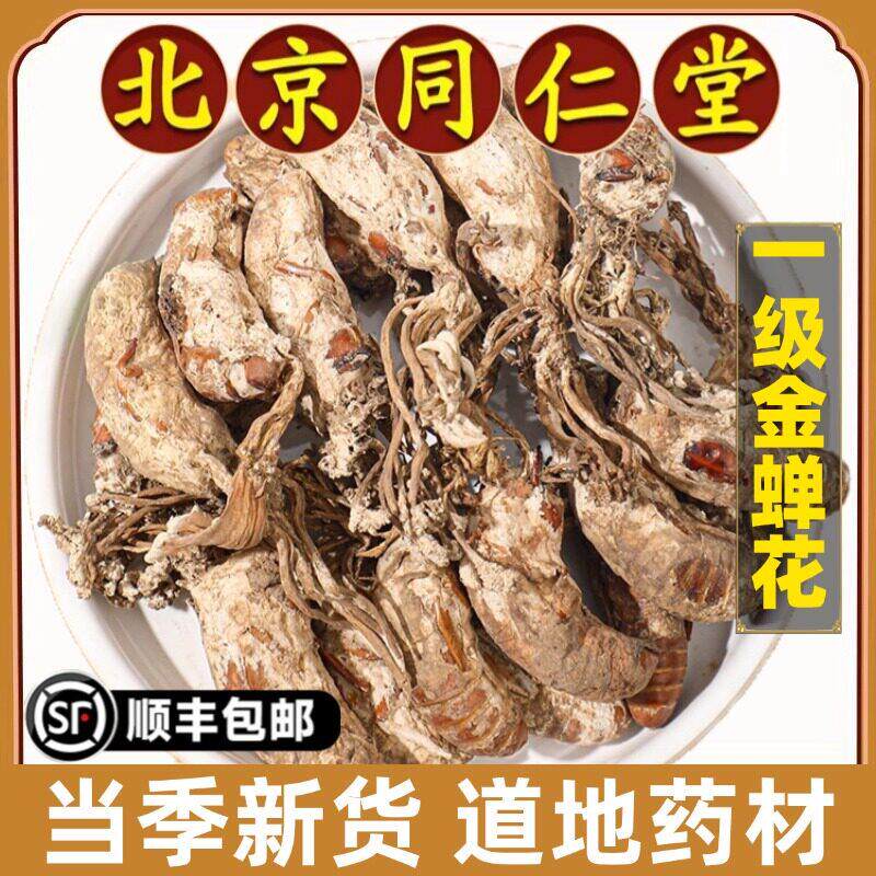 同仁堂正品金蝉花中药材特级精选金婵花金蟾花虫草知了花金蚕无硫
