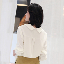 女韩版 宽松长袖 白色衬衣休闲上衣春秋 轩腾2019新款 雪纺娃娃领衬衫