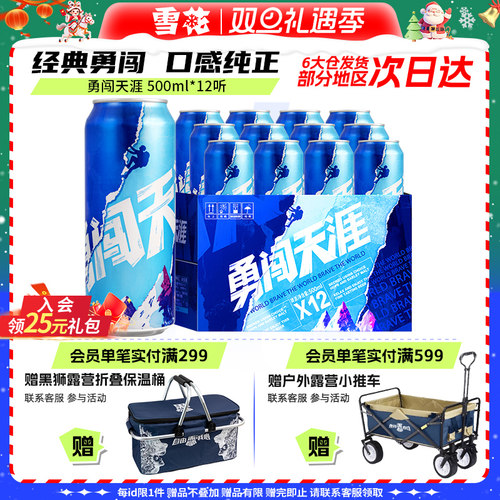 雪花勇闯天涯500ml*12听啤酒