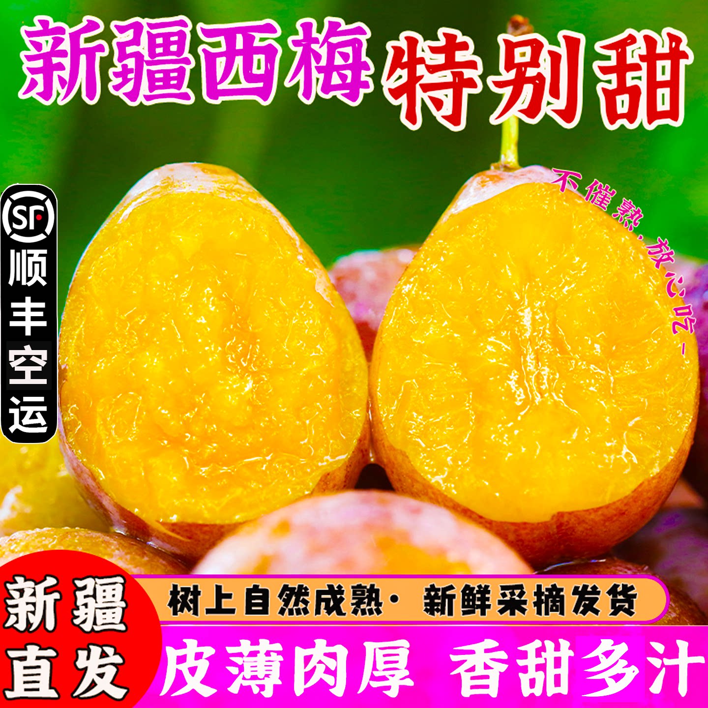 新疆西梅新鲜水果法兰西小西梅孕妇新鲜水果当季新疆现摘空运包邮