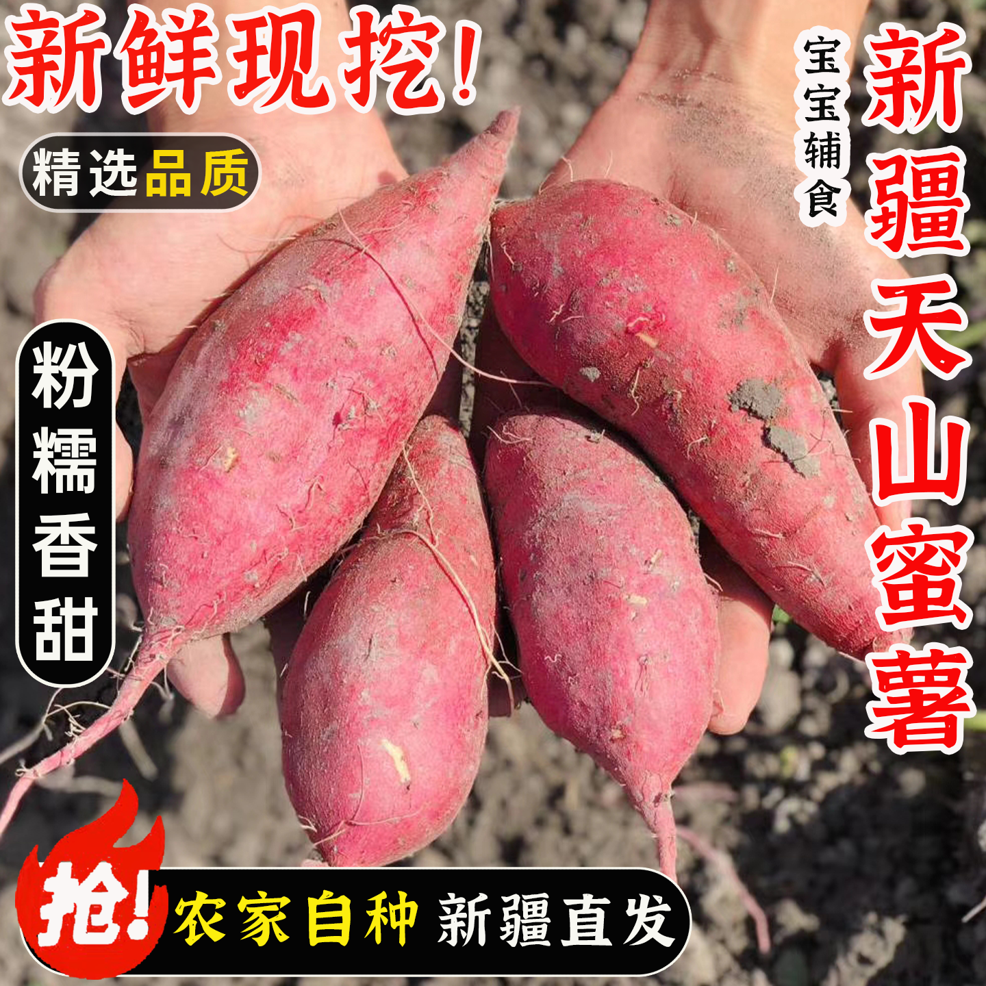 新疆天山蜜薯当季新鲜沙地红薯农家自种现挖地瓜香糯粉甜包邮
