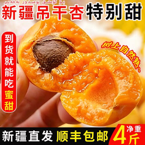 新疆小红杏树上熟蜜甜多汁