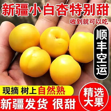 新疆小白杏子新鲜水果轮台应季孕妇水果当季甜杏子4斤顺丰包邮