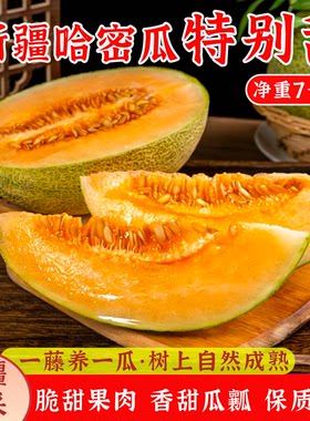 新疆直发哈密瓜皮薄肉厚脆甜无渣