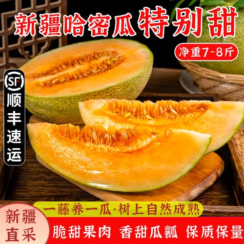 新疆直发哈密瓜皮薄肉厚脆甜无渣