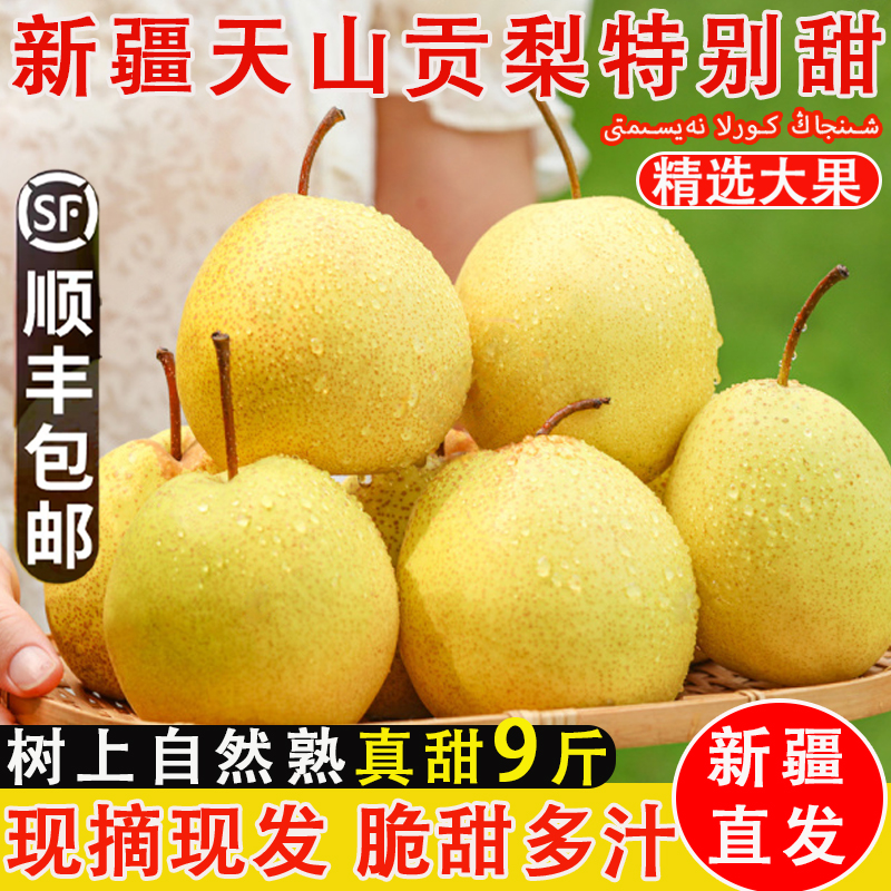 新疆天山贡梨子新鲜水果脆甜多汁