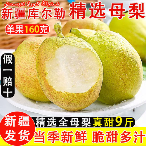正宗库尔勒香梨全母梨子整箱包邮